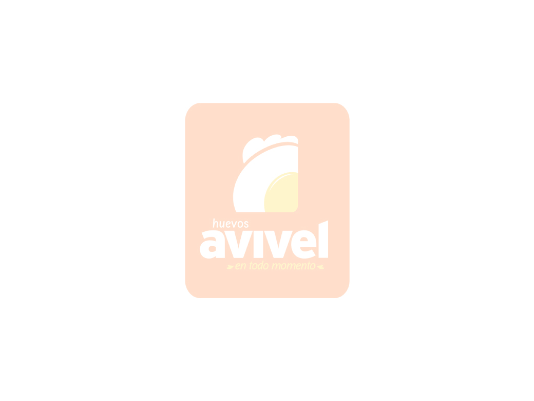 portada-avivel