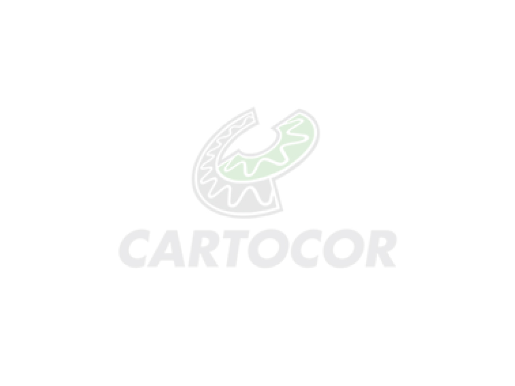 portada-cartocor
